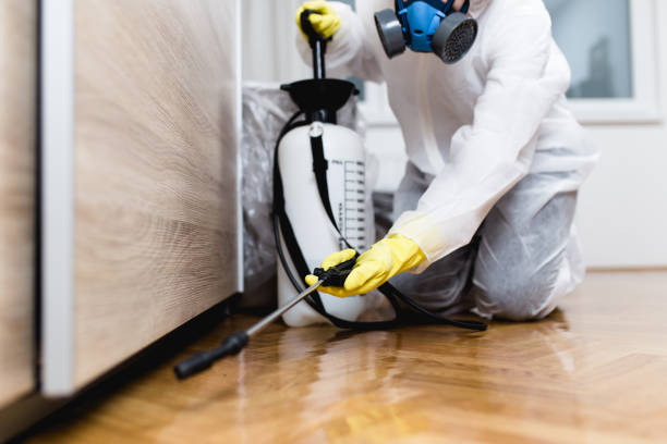 Best Residential Pest Control  in Warson Woods, MO