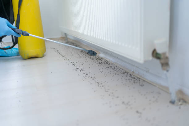 Best Pest Removal Services  in Warson Woods, MO