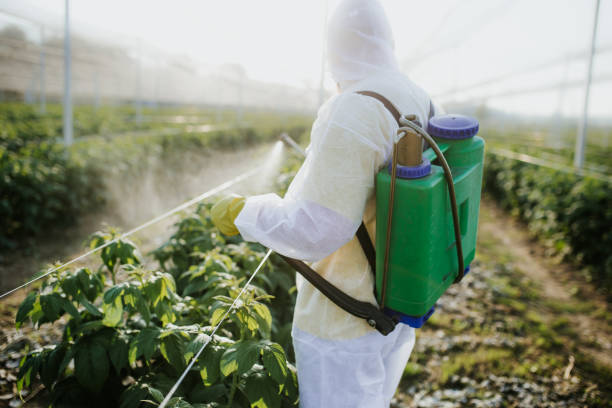 Best Commercial Pest Control Services  in Warson Woods, MO